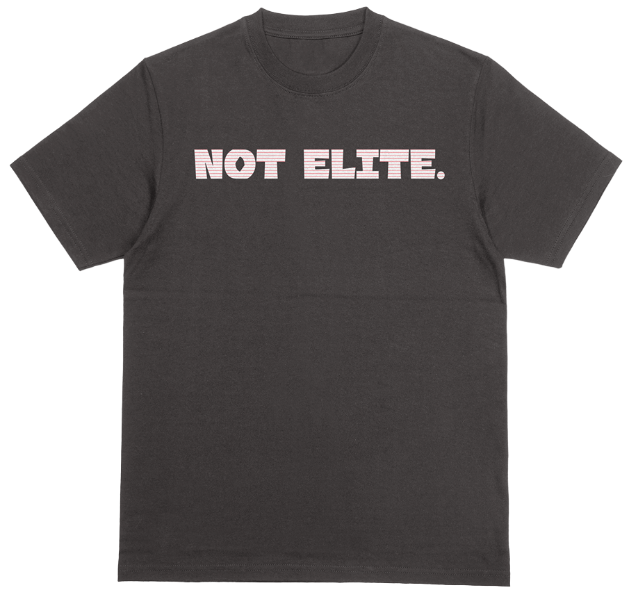 Bryce Harper Not Elite t-shirt. Philly pinstripe edition. Black 100% preshrunk heavy duty cotton.