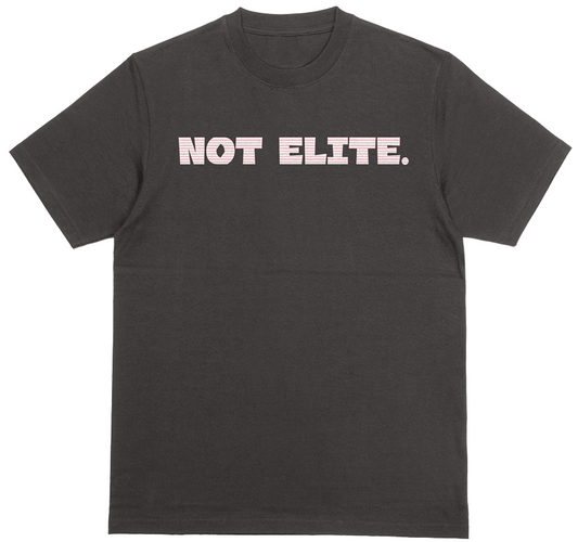 Bryce Harper Not Elite t-shirt. Philly pinstripe edition. Black 100% preshrunk heavy duty cotton.